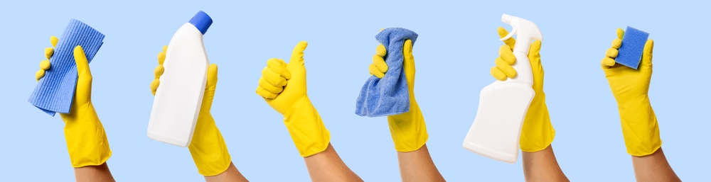 Bertins Cleaning Services